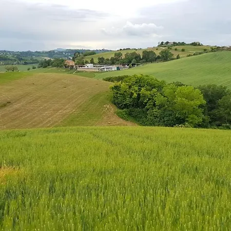 Il Vecchio Pioppo Fermo