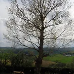 Vakantieboerderij Il Vecchio Pioppo Fermo