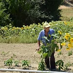 Il Vecchio Pioppo * Fermo