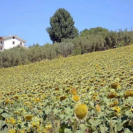 Farm stay Il Vecchio Pioppo *