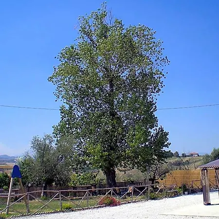 Il Vecchio Pioppo Fermo
