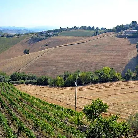 Il Vecchio Pioppo * Fermo