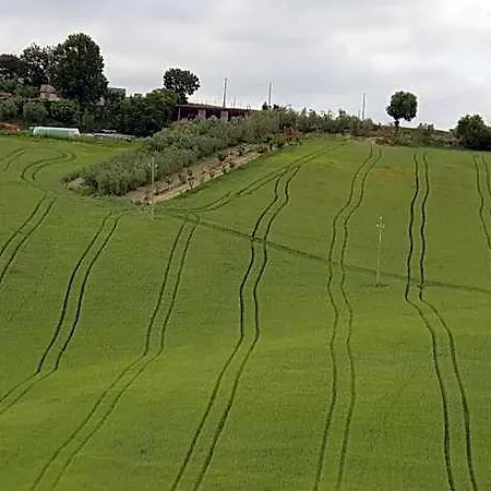 Il Vecchio Pioppo ファームステイ