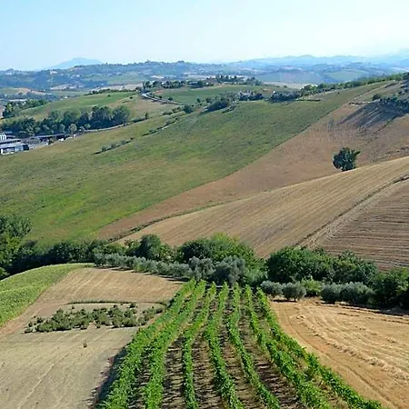 Il Vecchio Pioppo