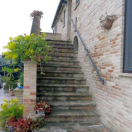 Il Vecchio Pioppo