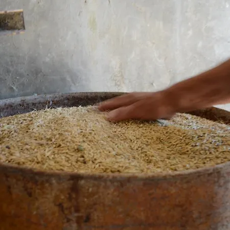 Il Vecchio Pioppo Séjour à la ferme *