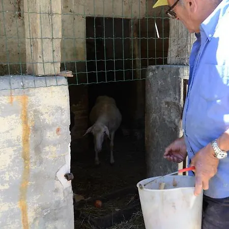 Il Vecchio Pioppo フェルモ