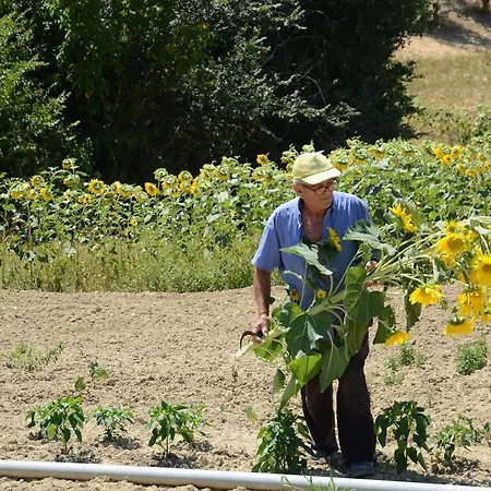 Il Vecchio Pioppo * Fermo