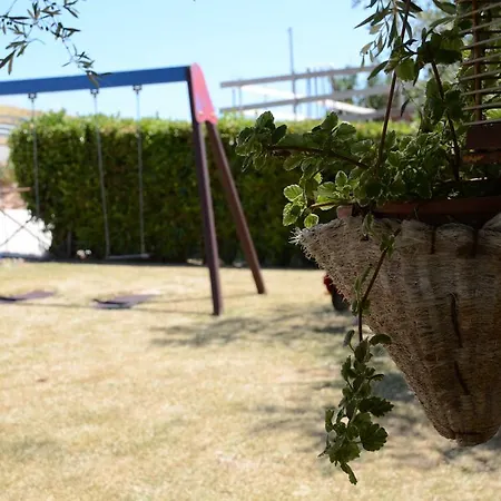 Il Vecchio Pioppo Fermo