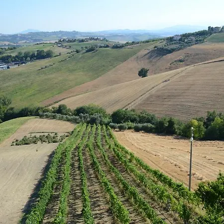 Séjour à la ferme Il Vecchio Pioppo Fermo