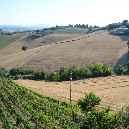 Il Vecchio Pioppo