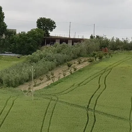 Il Vecchio Pioppo Fermo