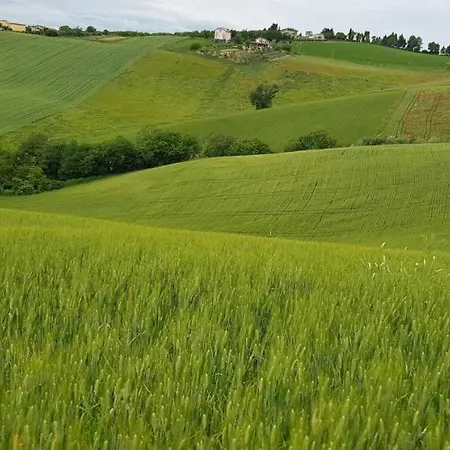 Il Vecchio Pioppo Séjour à la ferme *