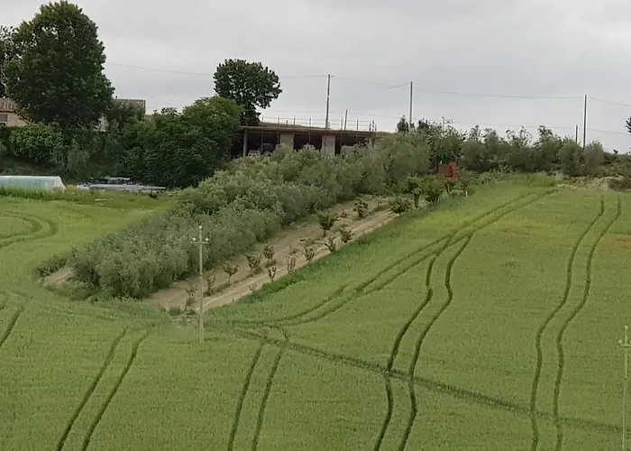 Il Vecchio Pioppo Fermo