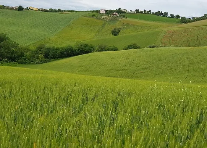 Il Vecchio Pioppo Farm stay *